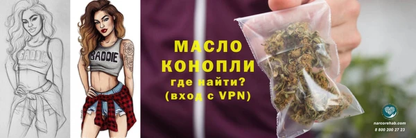 индика Каменногорск