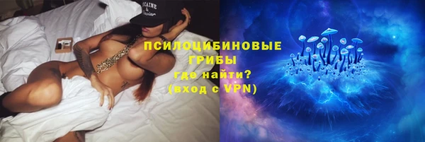 соль ск Аркадак