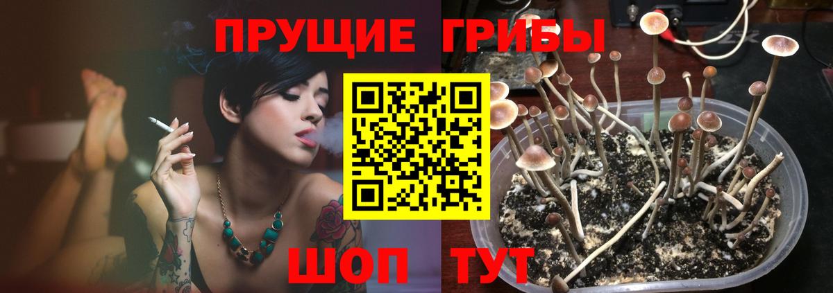 Галлюциногенные грибы Cubensis  Галлюциногенные грибы Magic Shrooms  Вход с VPN  Белебей 